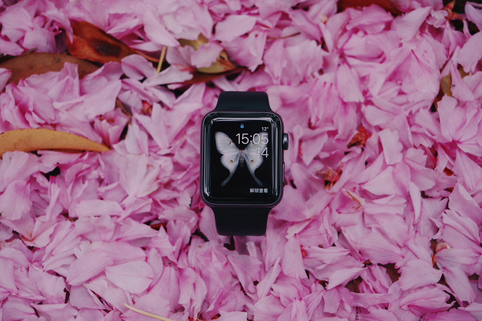 Top 4 SmartWatches to Help You Keep Fit - OzStraps