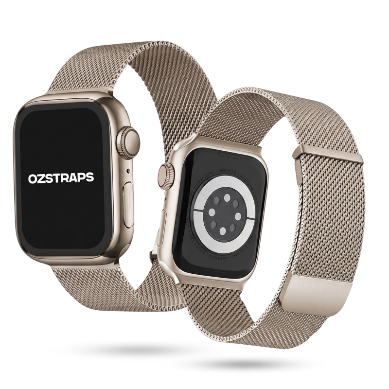 The Milanese Loop,