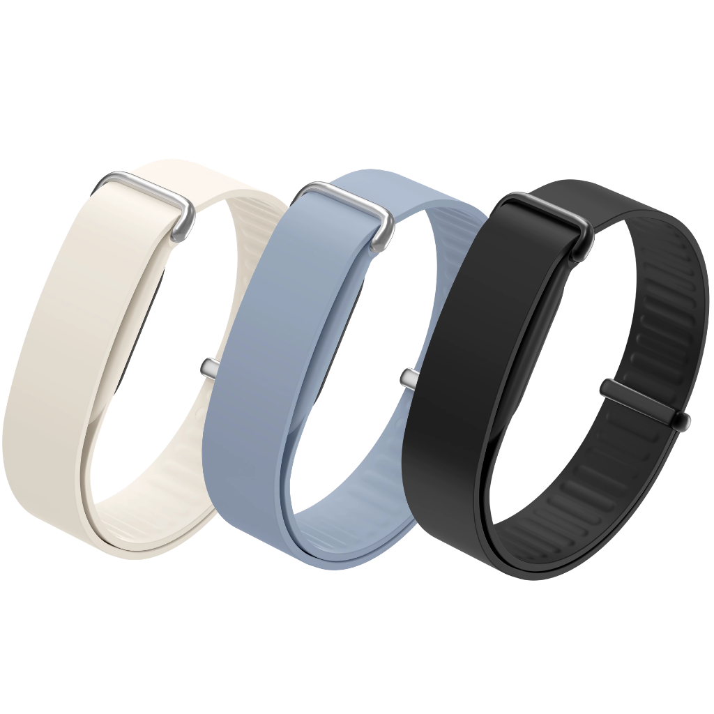 Google Fitbit Air Elevated Modern Bands